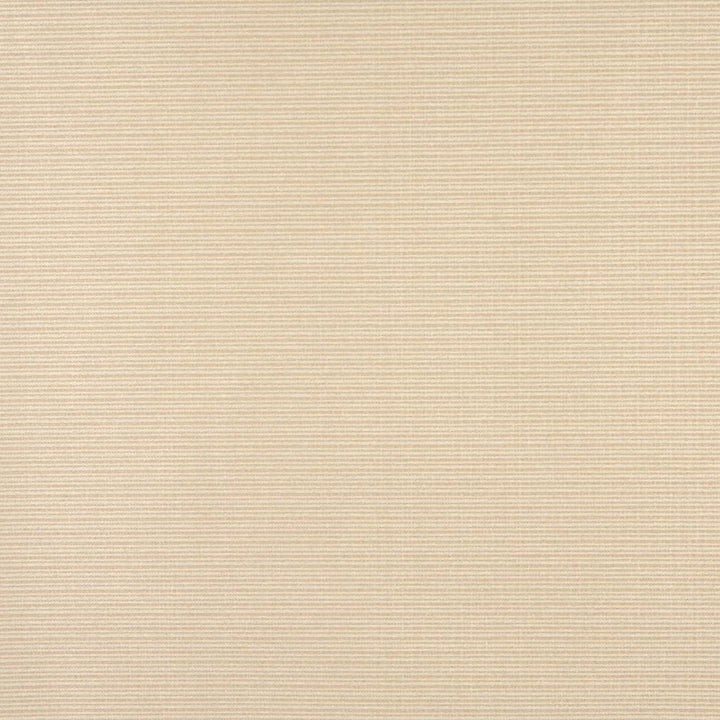 6617 Sand by Charlotte Fabric Outdoor/Indoor Oasis III 100% Woven Polyester Made In USA Exceeds 48,000 Wyzenbeek Rubs (Heavy Duty) </p><p>Repeat: No Repeat 54 Inches - Fabric Carolina -