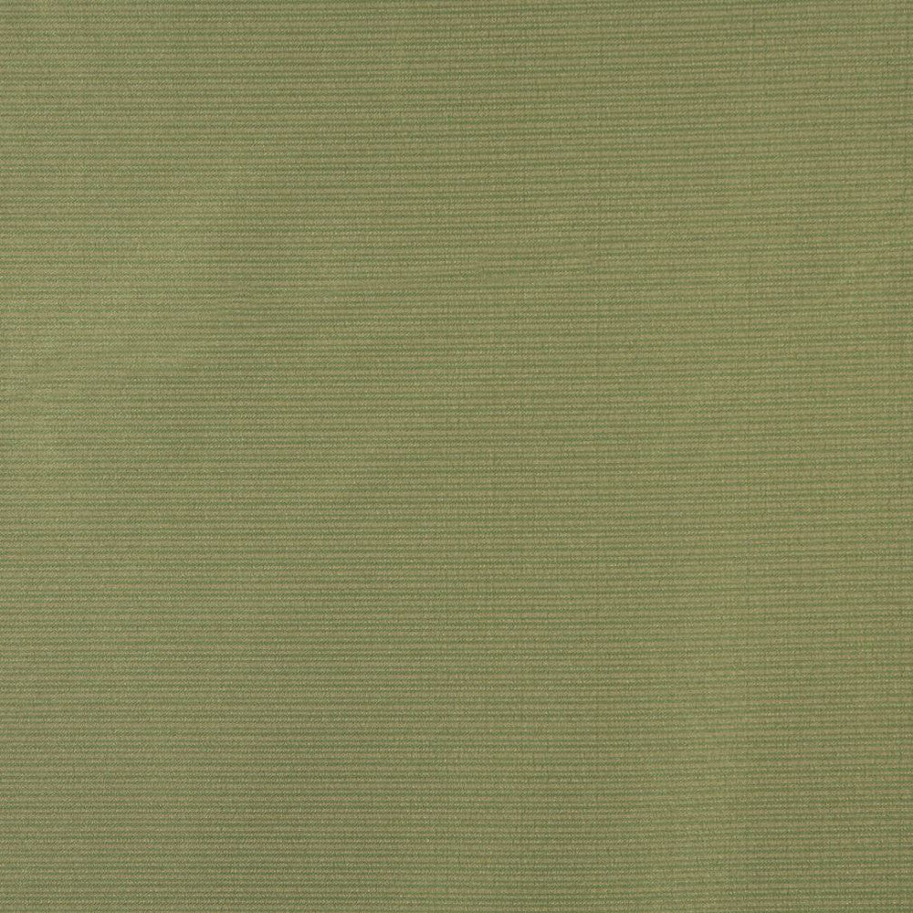 6618 Fern by Charlotte Fabric Outdoor/Indoor Oasis III 100% Woven Polyester Made In USA Exceeds 48,000 Wyzenbeek Rubs (Heavy Duty) </p><p>Repeat: No Repeat 54 Inches - Fabric Carolina -