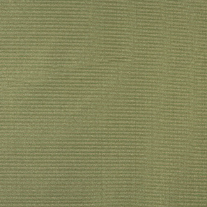 6618 Fern by Charlotte Fabric Outdoor/Indoor Oasis III 100% Woven Polyester Made In USA Exceeds 48,000 Wyzenbeek Rubs (Heavy Duty) No Repeat 54 Inches - Fabric Carolina -