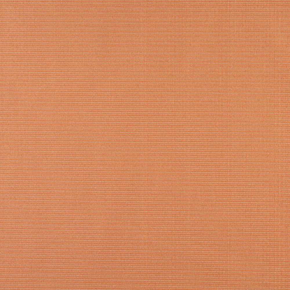 6619 Nectar by Charlotte Fabric Outdoor/Indoor Oasis III 100% Woven Polyester Made In USA Exceeds 48,000 Wyzenbeek Rubs (Heavy Duty) No Repeat 54 Inches - Fabric Carolina -