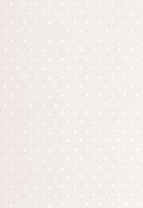Dotted Madras Ivory 66280 by Schumacher Fabric