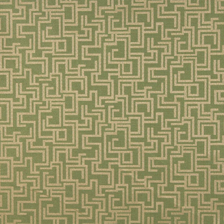 6634 Fern/Geometric by Charlotte Fabric Outdoor/Indoor Oasis III 100% Woven Polyester Made In USA Exceeds 48,000 Wyzenbeek Rubs (Heavy Duty) Horizontal: 29.0" x Vertical: 10.0" 54 Inches - Fabric Carolina -