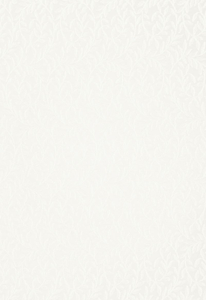 Fernwood Sheer Naturel 66380 by Schumacher Fabric Radiance-Sheers 100% Cotton - Horizontal: 4.5 and Vertical: 13.25 66.25 - Fabric Carolina -