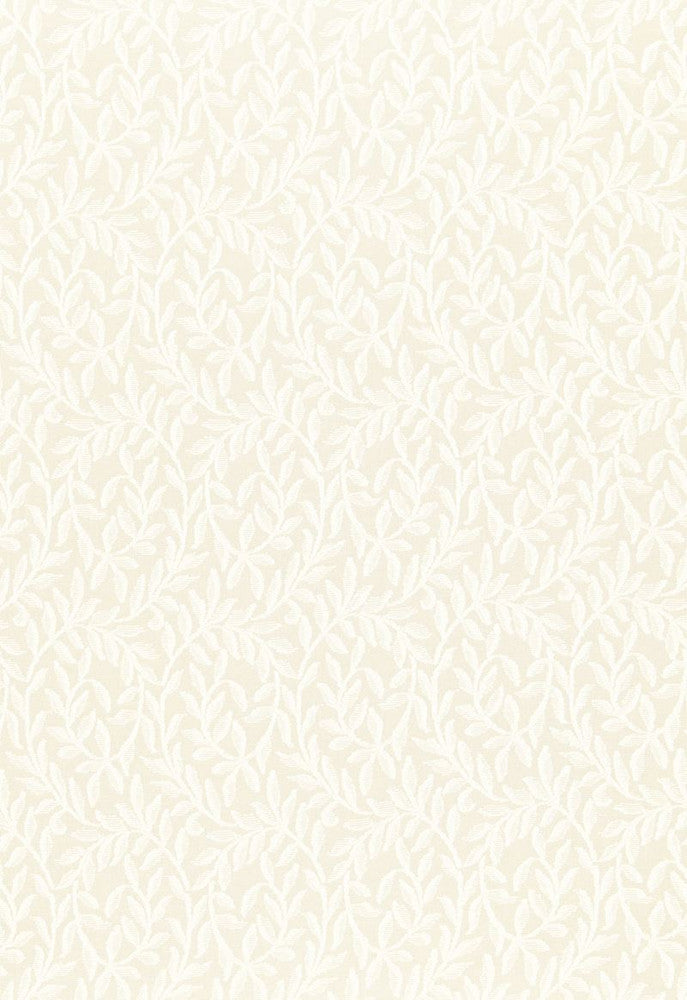 Fernwood Sheer Ecru 66381 by Schumacher Fabric Radiance-Sheers 100% Cotton - Horizontal: 4.5 and Vertical: 13.25 66.25 - Fabric Carolina -