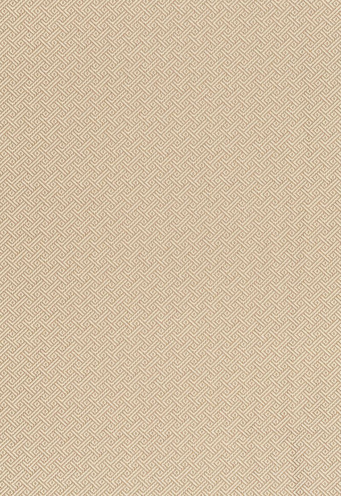 Picard Weave Greige 66411 by Schumacher Fabric Courtrai 100% Trevira Martindale 50,000 Horizontal: 7/8- and Vertical: 7/8- 56.5 - Fabric Carolina -