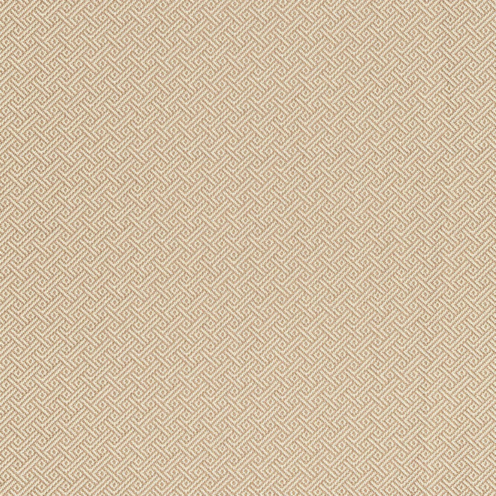 Picard Weave Greige 66411 by Schumacher Designer Fabric COURTRAI TREVIRA CS 100% ITALY MARTINDALE 50,000 </p><p>Repeat: Horizontal: 7/8" (2CM) and Vertical: 7/8" (2CM) 56.5 - Swanky Fabrics -