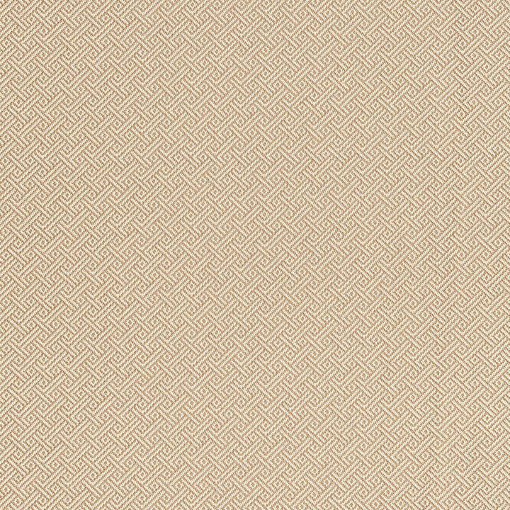 Picard Weave Greige 66411 by Schumacher Fabric COURTRAI See Sample ITALY HEAVY DUTY </p><p>Repeat: Horizontal: 7/8" (2CM) and Vertical: 7/8" (2CM) 56 1/2" WIDE (144CM) - Fabric Carolina -