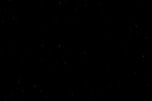 Nevada Black Mohair by Latimer Alexander Fabric