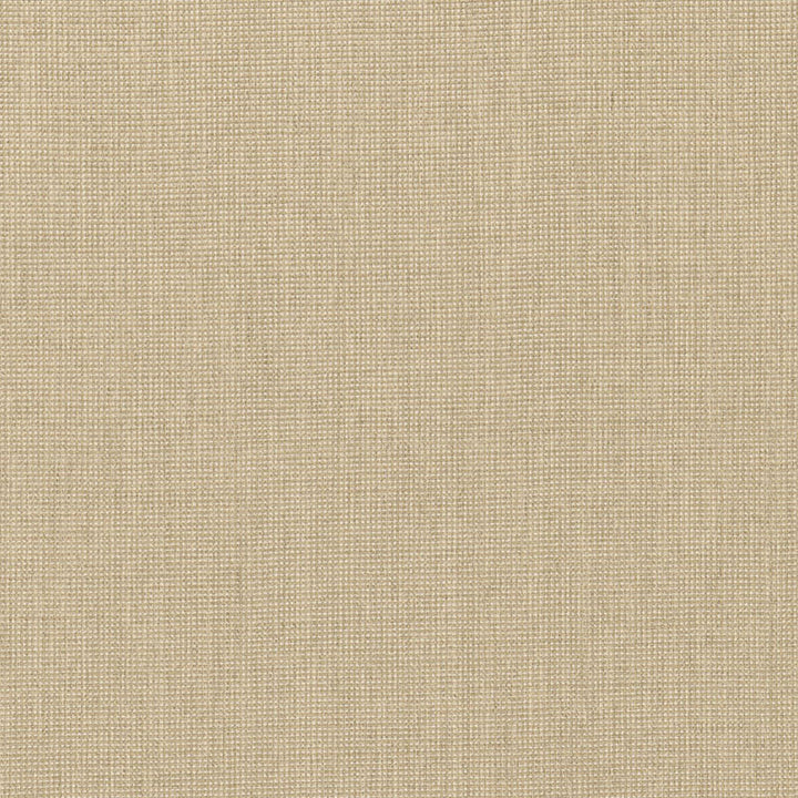 Tournai Weave Chanterelle 66480 by Schumacher Fabric COURTRAI See Sample ITALY MEDIUM DUTY </p><p>Repeat: Horizontal: - and Vertical: - 55" WIDE (140CM) - Fabric Carolina -