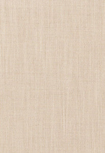Tournai Weave Linen 66481 by Schumacher Fabric
