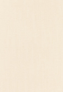 Marcq Chenille Herringbone Creme 66531 by Schumacher Fabric