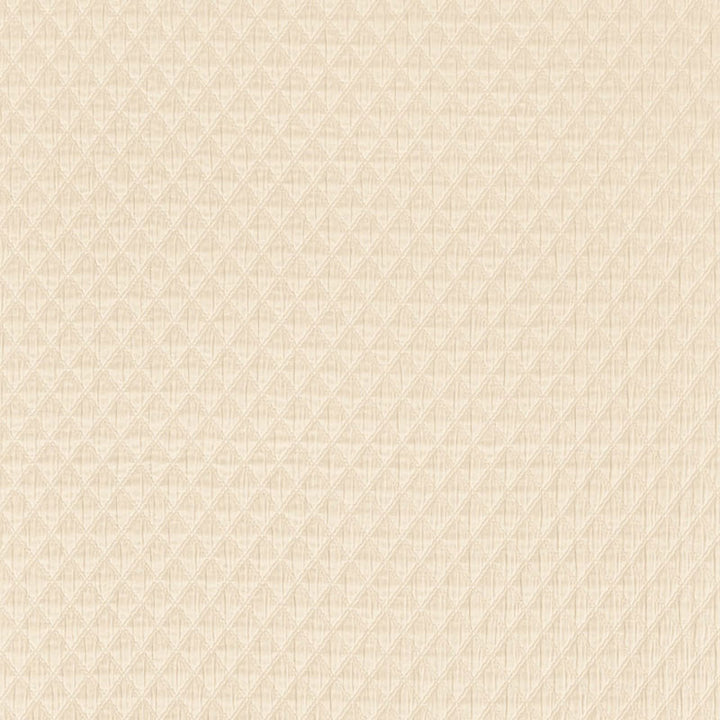 Lucca Matelasse Stone 66582 by Schumacher Fabric PALAZZO COTTON 100% ITALY MARTINDALE 9,000 </p><p>Repeat: Horizontal: 1/2" (1CM) and Vertical: 5/8" (2CM) 51 - Fabric Carolina -