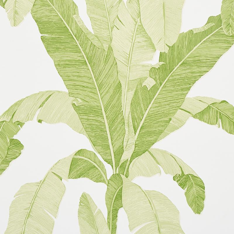 Erisimo Leaf 5012110 by Schumacher Wallpaper Copacabana 27.0" - Fabric Carolina -