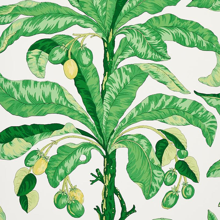 Blair House Palm Green 5004064 by Schumacher Wallpaper Copacabana 27.0" - Fabric Carolina -