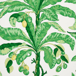 Blair House Palm Green 5004064 by Schumacher Wallpaper
