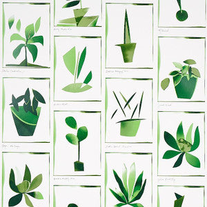 Botanicals Greenhouse 5012691 by Schumacher Wallpaper
