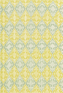 Varanasi Cotton Ikat Sea Glass 66952 by Schumacher Fabric
