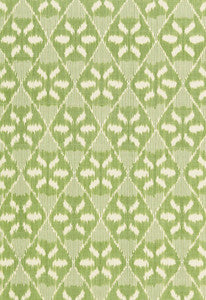 Darjeeling Cotton Ikat Meadow 66962 by Schumacher Fabric