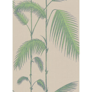Palm Leaves Taupe/G by Cole & Son Wallcovering