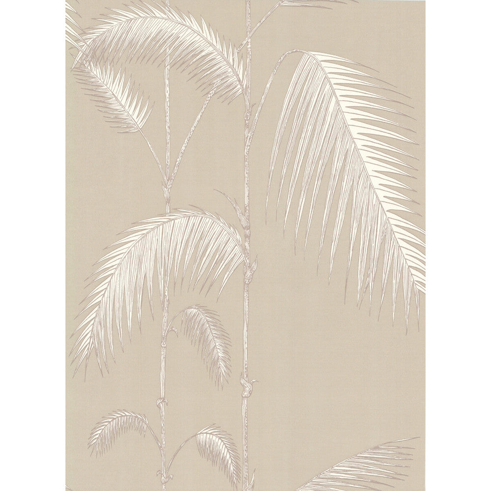 Palm Leaves Taupe/W by Cole & Son Wallcovering Cole & Son Wallcovering Palm Leaves Taupe/WWallcovering COLE & SON NEW CONTEMPORARY PAPER - 100% United Kingdom </p><p>Repeat: H: 0, V: 28.5 20.5 - Fabric Carolina -