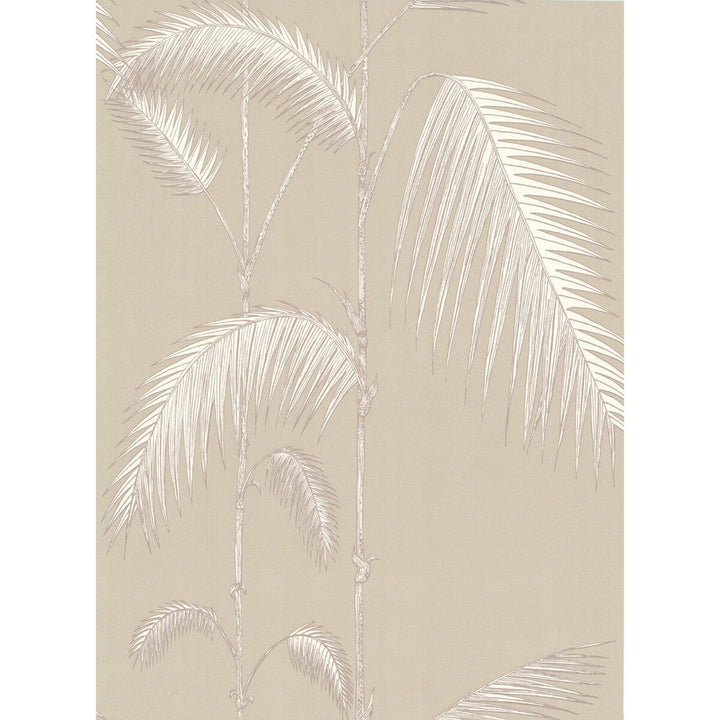 Palm Leaves Taupe/W by Cole & Son Wallcovering Cole & Son Wallcovering Palm Leaves Taupe/WWallcovering COLE & SON NEW CONTEMPORARY PAPER - 100% United Kingdom </p><p>Repeat: H: 0, V: 28.5 20.5 - Fabric Carolina -