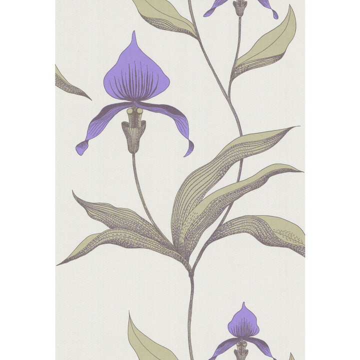 Orchid White/M by Cole & Son Wallcovering Cole & Son Wallcovering Orchid White/MWallcovering COLE & SON NEW CONTEMPORARY PAPER - 100% United Kingdom </p><p>Repeat: H: 0, V: 28.5 20.5 - Fabric Carolina -