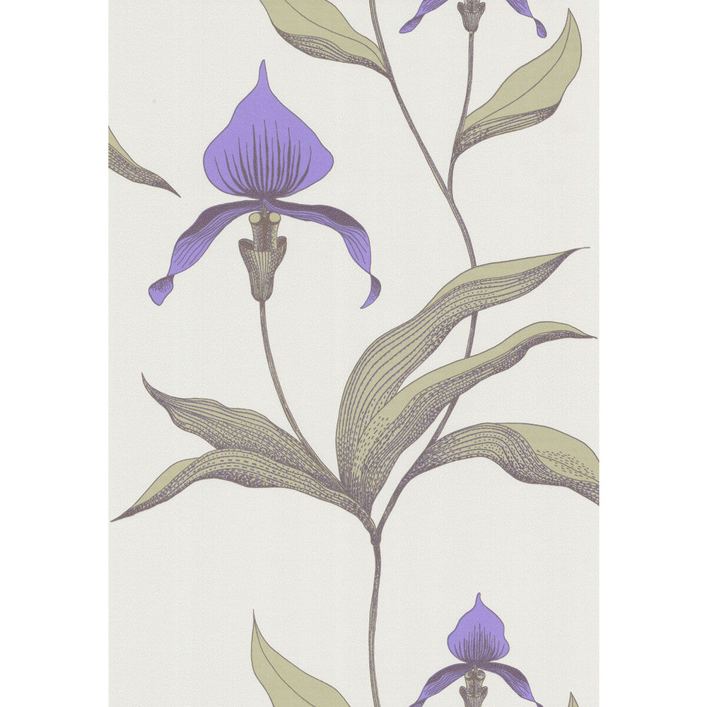 Orchid White/M by Cole & Son Wallcovering COLE & SON NEW CONTEMPORARY PAPER - 100% United Kingdom - Horizontal: 0 and Vertical: 28.5 20.5 - Fabric Carolina -