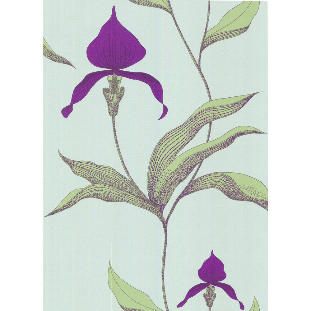 Orchid Turquoi by Cole & Son Designer Wallcovering COLE & SON NEW CONTEMPORARY PAPER - 100% United Kingdom - Horizontal: 0 and Vertical: 28.5 20.5 - Swanky Fabrics -