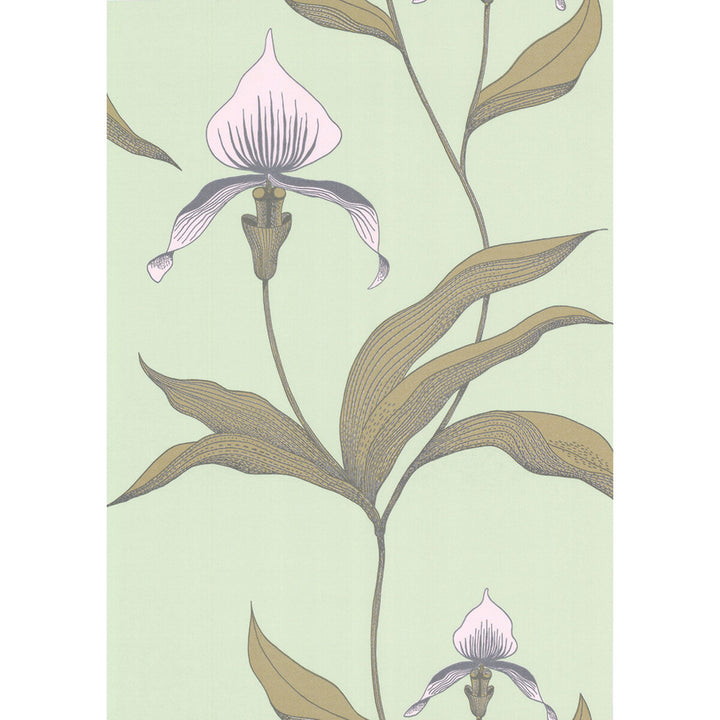 Orchid Pale Gr by Cole & Son Wallcovering COLE & SON NEW CONTEMPORARY PAPER - 100% United Kingdom - Horizontal: 0 and Vertical: 28.5 20.5 - Fabric Carolina -