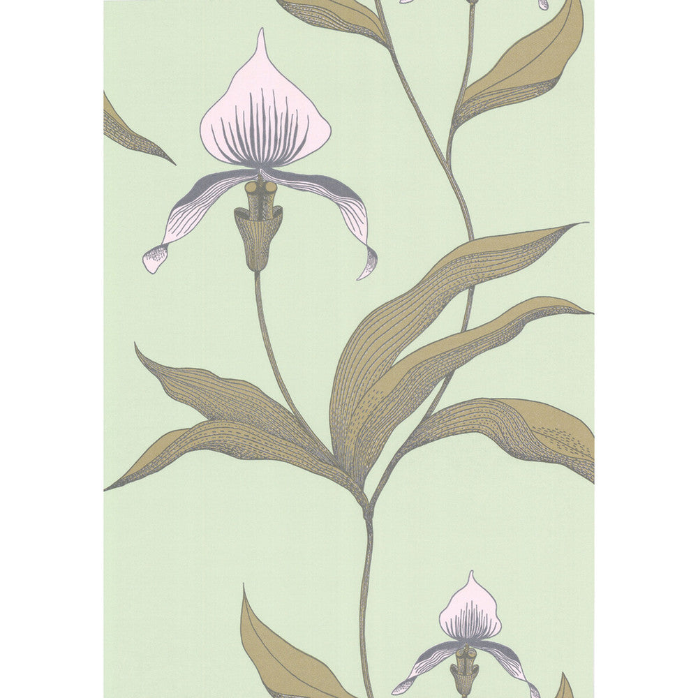 Orchid Pale Gr by Cole & Son Wallcovering COLE & SON NEW CONTEMPORARY PAPER - 100% United Kingdom Horizontal: 0 and Vertical: 28.5 20.5 - Fabric Carolina -