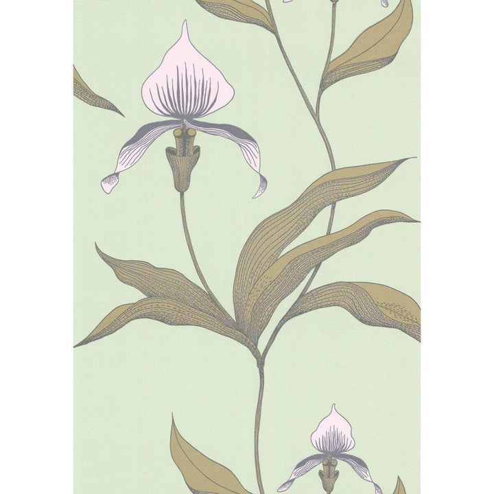Orchid Pale Gr by Cole & Son Designer Wallcovering COLE & SON NEW CONTEMPORARY PAPER - 100% United Kingdom - Horizontal: 0 and Vertical: 28.5 20.5 - Swanky Fabrics -