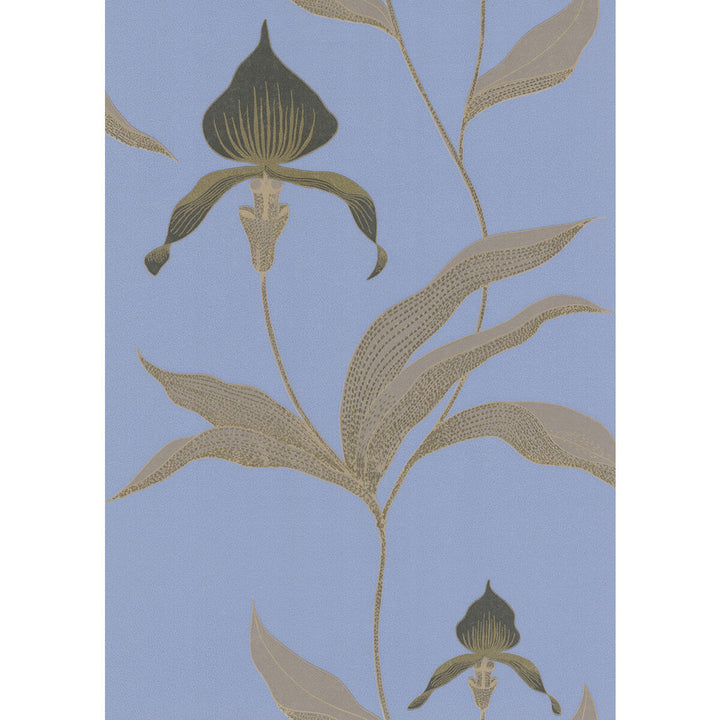Orchid Blue/Bl by Cole & Son Wallcovering Cole & Son Wallcovering Orchid Blue/BlWallcovering COLE & SON NEW CONTEMPORARY PAPER - 100% United Kingdom </p><p>Repeat: H: 0, V: 28.5 20.5 - Fabric Carolina -