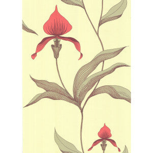 Orchid Lime/Or by Cole & Son Wallcovering