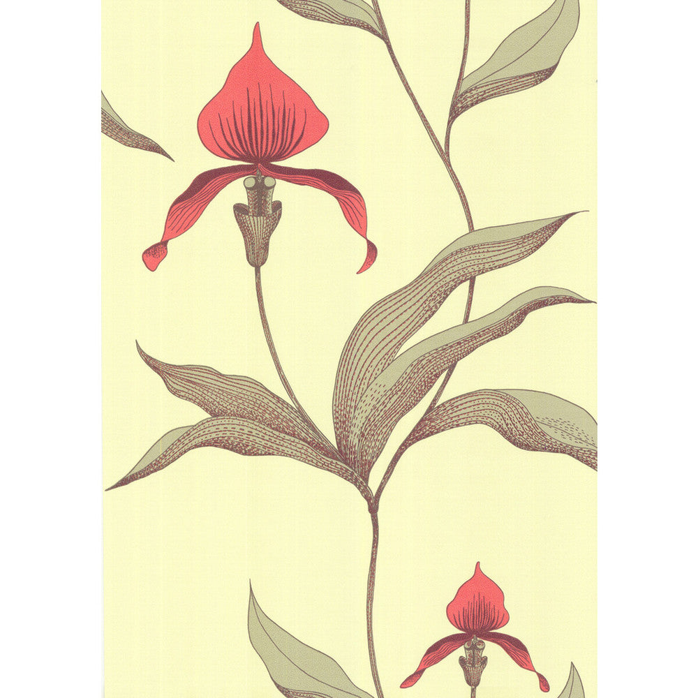 Orchid Lime/Or by Cole & Son Wallcovering COLE & SON NEW CONTEMPORARY PAPER - 100% United Kingdom - Horizontal: 0 and Vertical: 28.5 20.5 - Fabric Carolina -