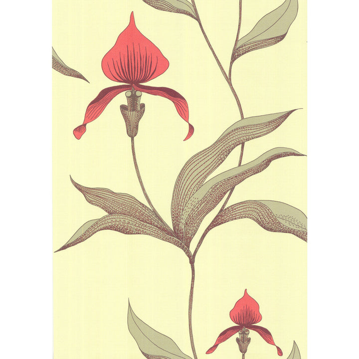 Orchid Lime/Or by Cole & Son Wallcovering COLE & SON NEW CONTEMPORARY PAPER - 100% United Kingdom - Horizontal: 0 and Vertical: 28.5 20.5 - Fabric Carolina -