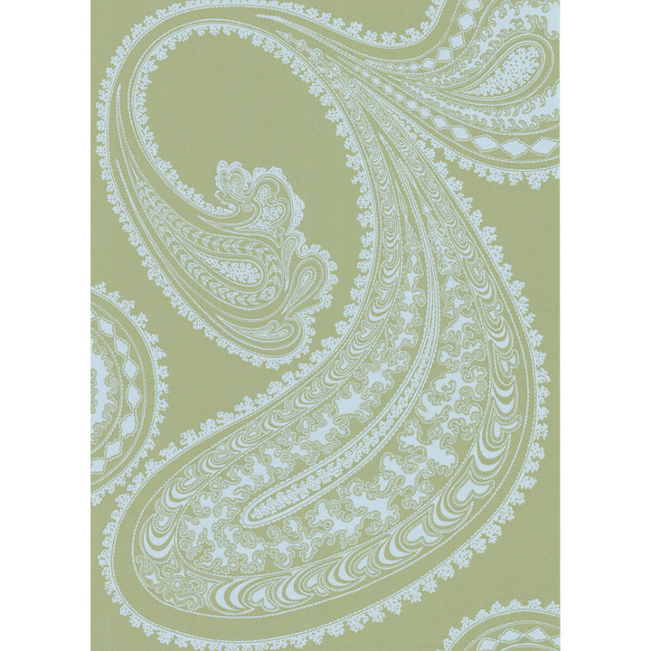 Rajapur Pale Bl/Gn by Cole & Son Wallcovering COLE & SON NEW CONTEMPORARY PAPER - 100% United Kingdom - Horizontal: 0 and Vertical: 28.5 20.5 - Fabric Carolina -