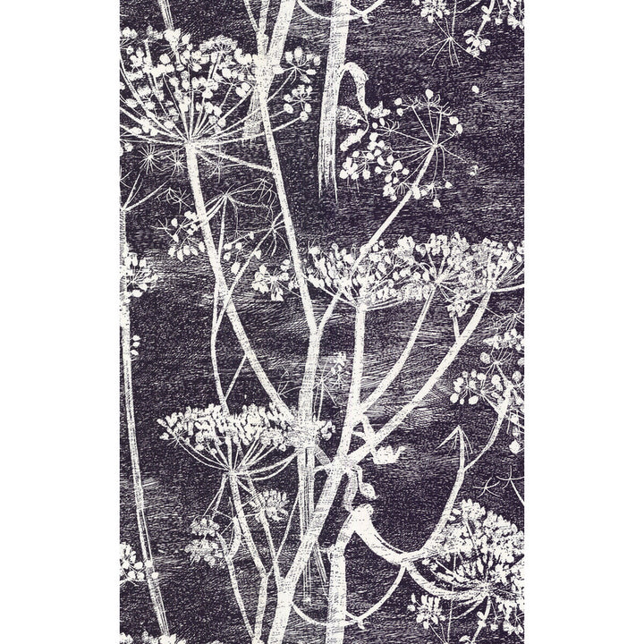 Cow Parsley White/Blk by Cole & Son Wallcovering COLE & SON NEW CONTEMPORARY PAPER - 100% United Kingdom Horizontal: 21 and Vertical: 30 21 - Fabric Carolina -