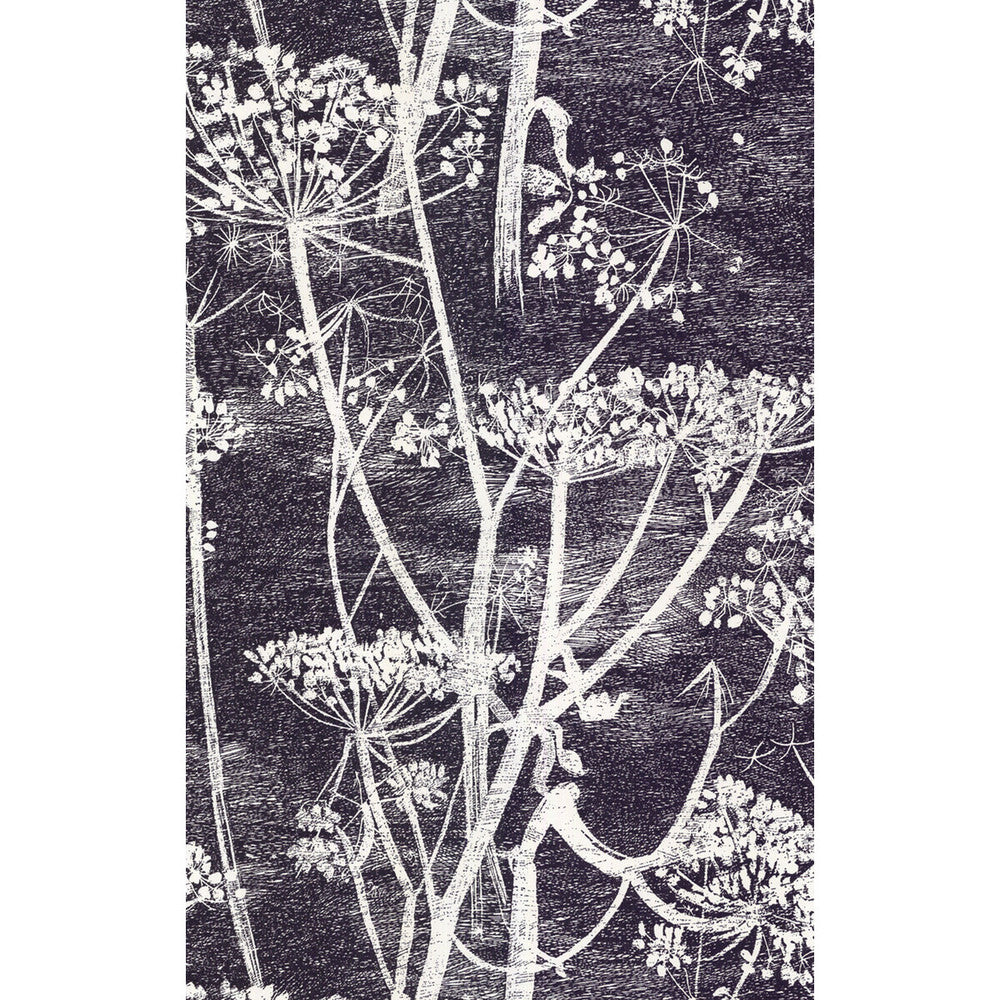 Cow Parsley White/Blk by Cole & Son Wallcovering Cole & Son Wallcovering Cow Parsley White/BlkWallcovering COLE & SON NEW CONTEMPORARY PAPER - 100% United Kingdom </p><p>Repeat: H: 21, V: 30 21 - Fabric Carolina -