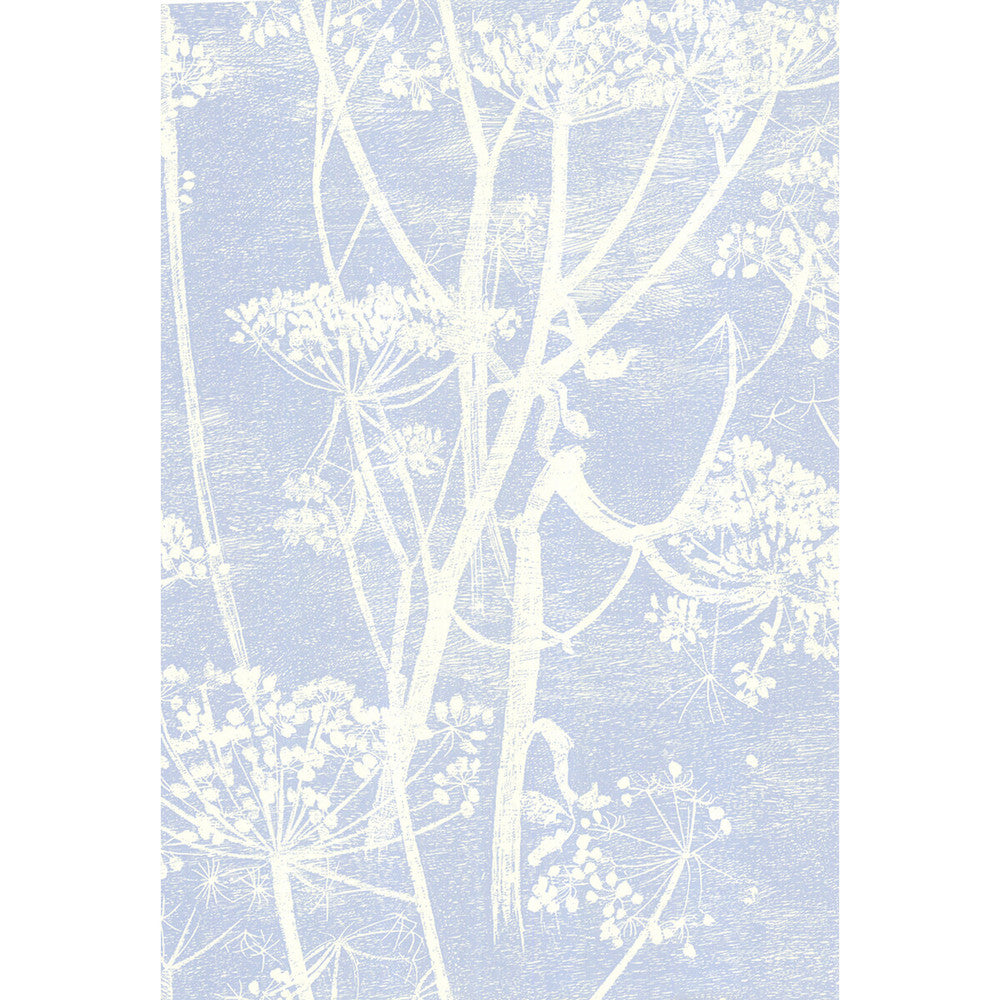 Cow Parsley White/Blu by Cole & Son Wallcovering COLE & SON NEW CONTEMPORARY PAPER - 100% United Kingdom - Horizontal: 0 and Vertical: 30 21 - Fabric Carolina -
