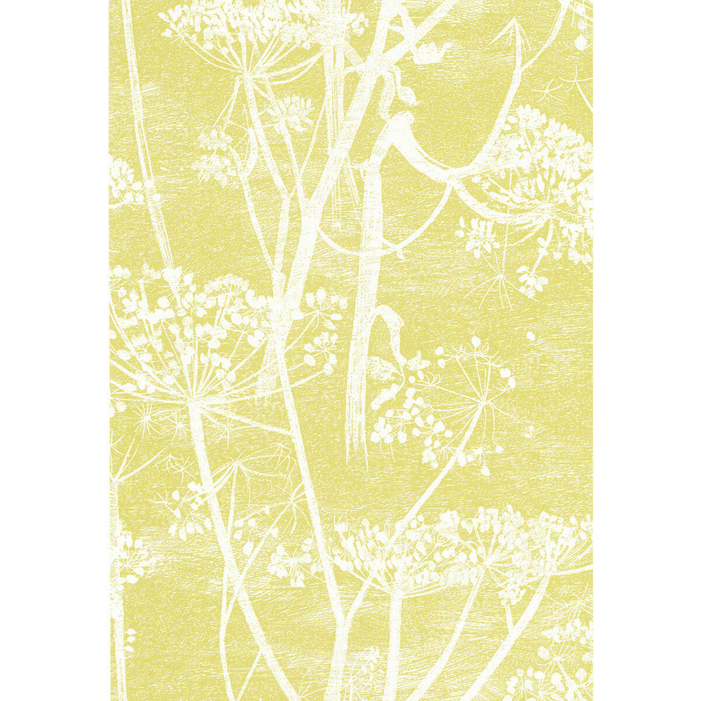 Cow Parsley White/Y by Cole & Son Wallcovering COLE & SON NEW CONTEMPORARY PAPER - 100% United Kingdom Horizontal: 21 and Vertical: 30 21 - Fabric Carolina -
