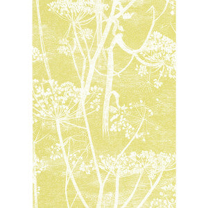 Cow Parsley White/Y by Cole & Son Wallcovering