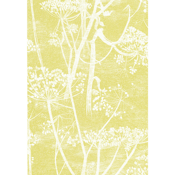 Cow Parsley White/Y by Cole & Son Wallcovering COLE & SON NEW CONTEMPORARY PAPER - 100% United Kingdom Horizontal: 21 and Vertical: 30 21 - Fabric Carolina -