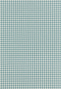 Abington Square Capri 67002 by Schumacher Fabric