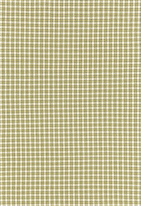 Abington Square Citron 67004 by Schumacher Fabric