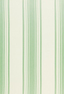 Carnegie Cotton Stripe Robin'S Egg 67023 by Schumacher Fabric