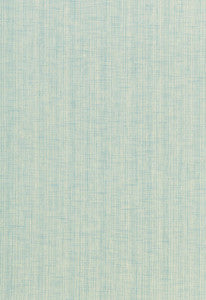 Montauk Weave Capri 67030 by Schumacher Fabric