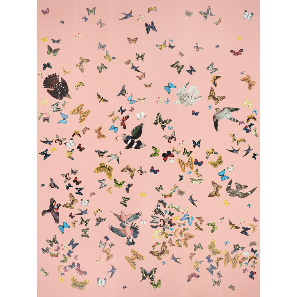 Queen'S Flight Pink 5010864 by Schumacher Wallpaper Peg Norriss 108.0" - Fabric Carolina -