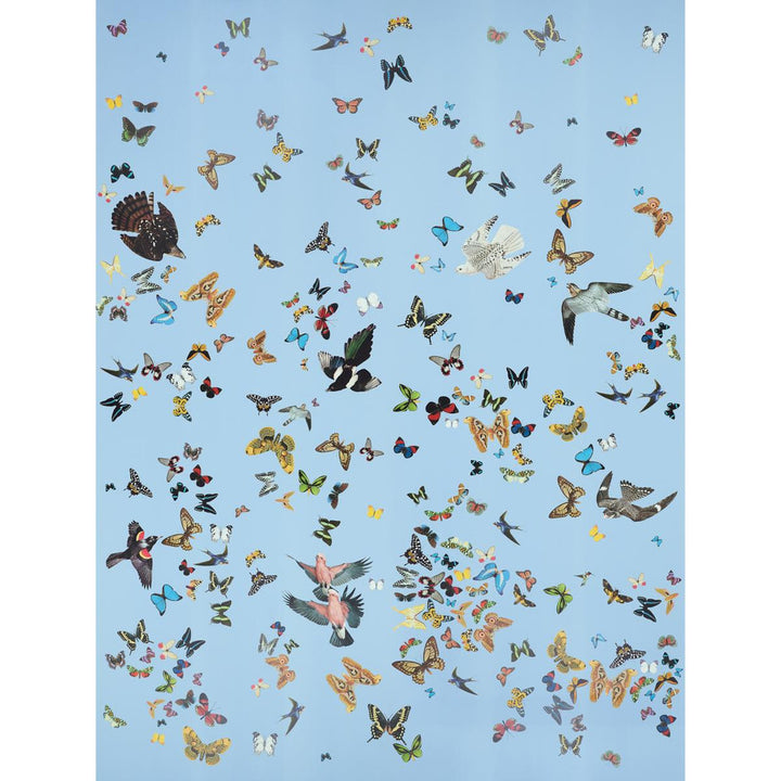 Queen'S Flight Sky 5010865 by Schumacher Wallpaper Peg Norriss 108.0" - Fabric Carolina -