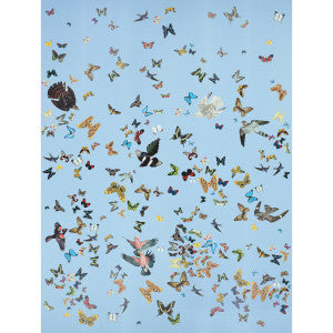 Queen'S Flight Sky 5010865 by Schumacher Wallpaper