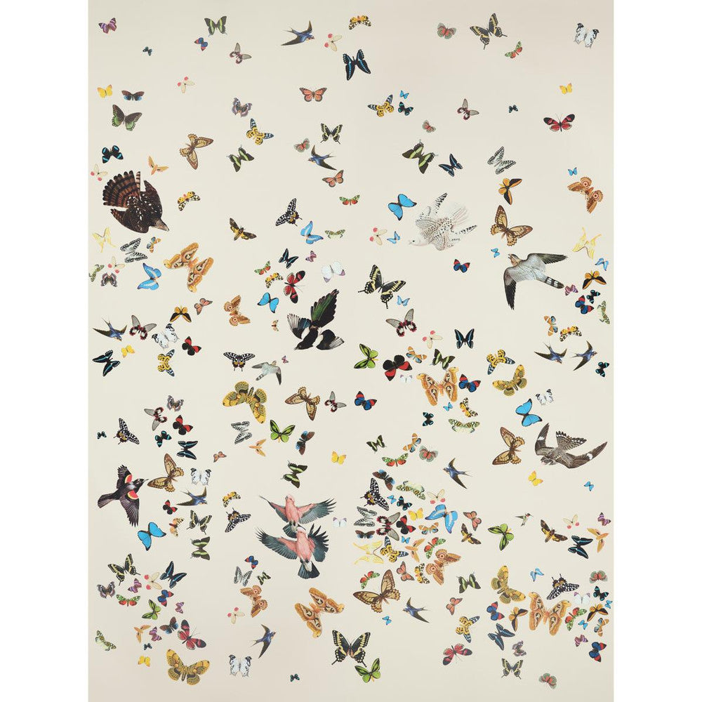 Queen'S Flight Sand 5010866 by Schumacher Wallpaper Peg Norriss 108.0" - Fabric Carolina -